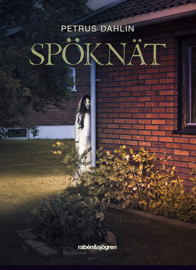 Omslag: Spöknät