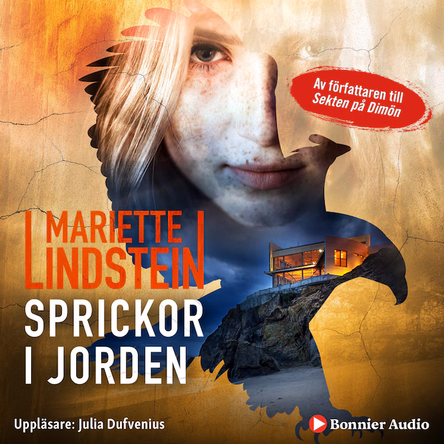 Omslag: Sprickor i jorden