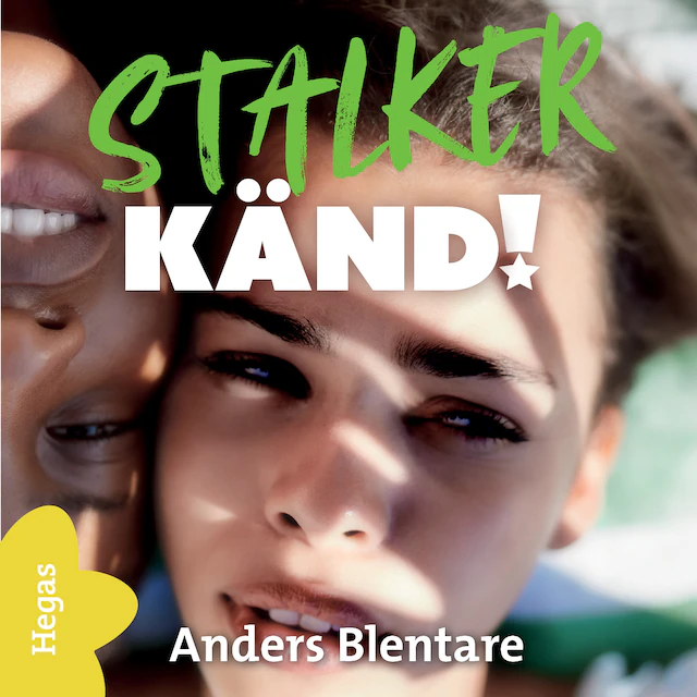 Omslag: Stalker