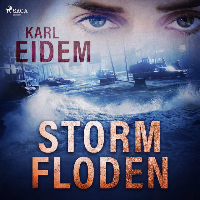 Omslag: Stormfloden