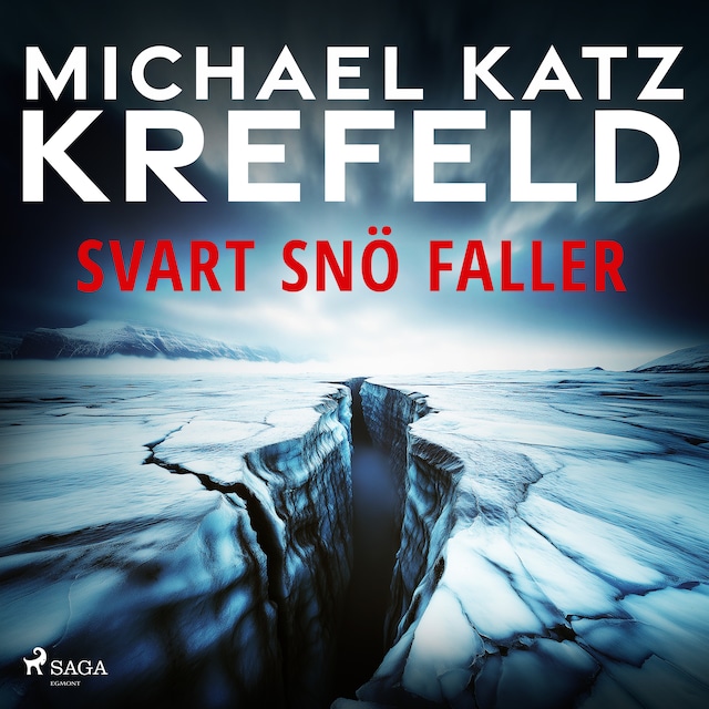 Omslag: Svart snö faller