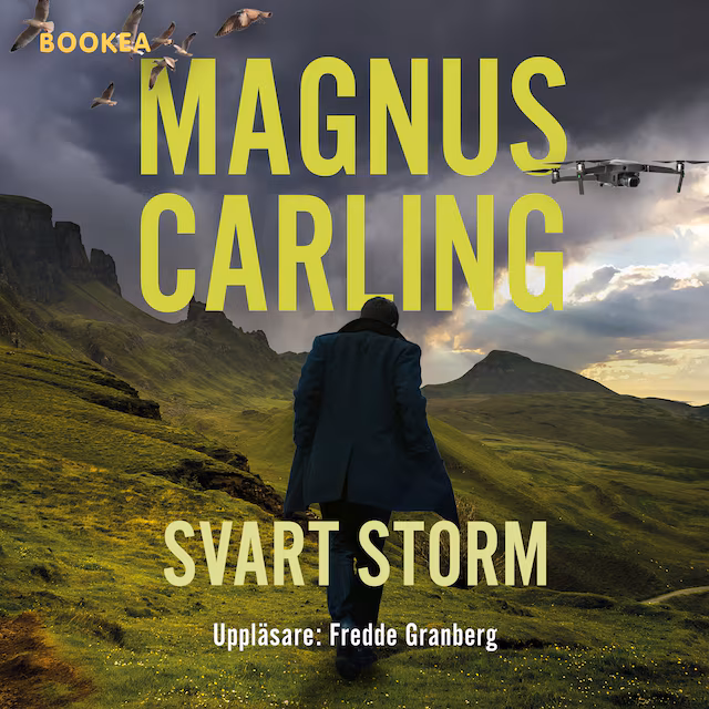 Omslag: Svart storm