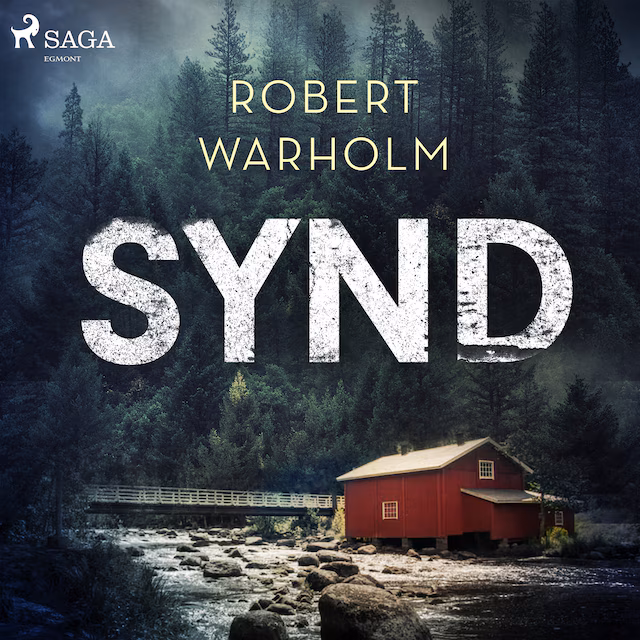 Omslag: Synd