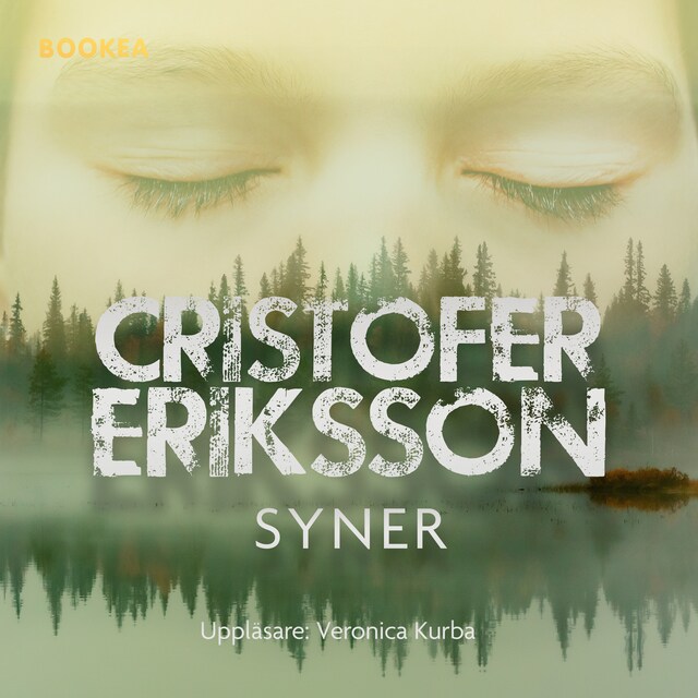 Omslag till ljudboken Syner