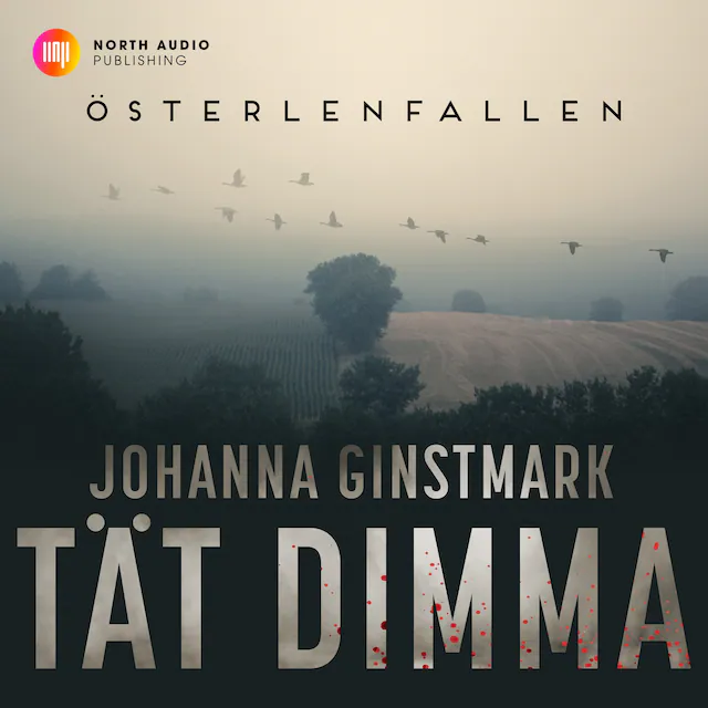 Omslag: Tät dimma