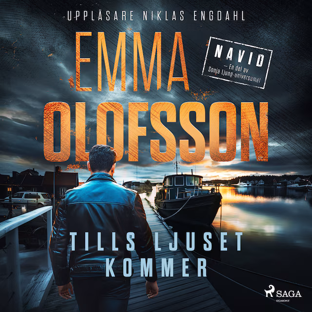 Omslag: Tills ljuset kommer