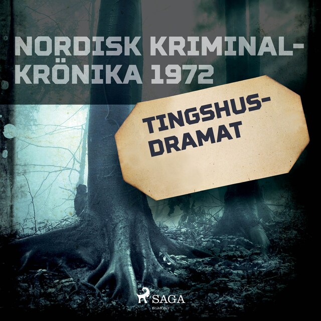 Omslag till ljudboken Tingshusdramat