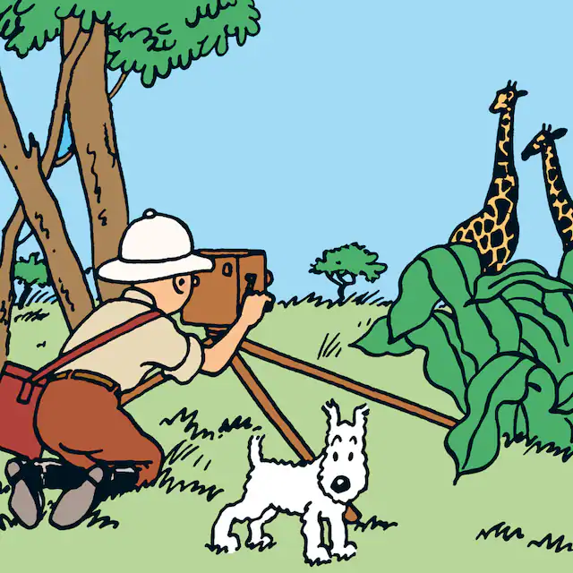 Omslag: Tintin i Kongo