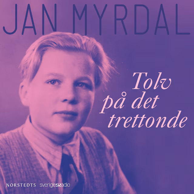 Omslag: Tolv på det trettonde