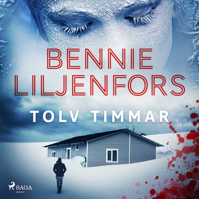 Omslag: Tolv timmar