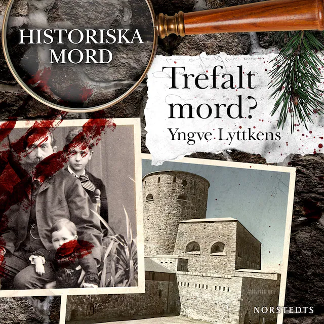Omslag: Trefalt mord? : Historiska mord del 7