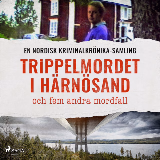 Omslag: Trippelmordet i Härnösand och fem andra mordfall