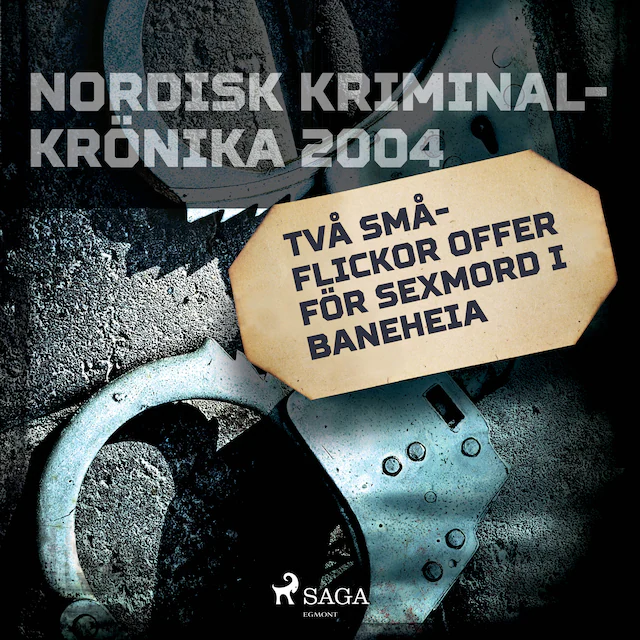Omslag till ljudboken Två flickor offer för sexmord i Baneheia