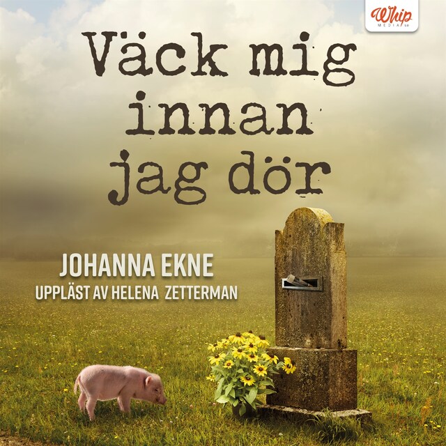 Omslag till ljudboken Väck mig innan jag dör