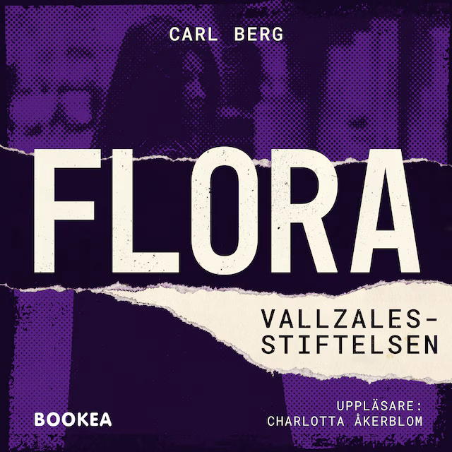 Omslag: Vallzales-stiftelsen