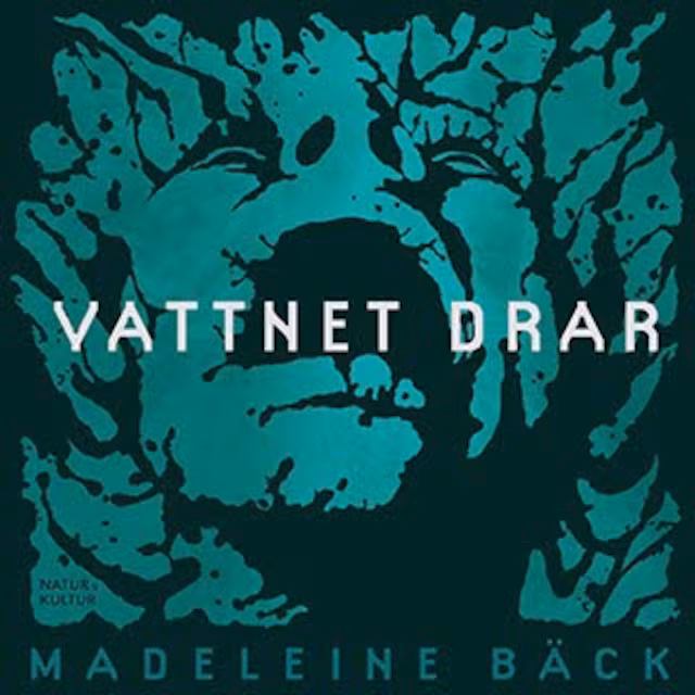 Omslag: Vattnet drar