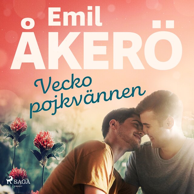 Omslag: Veckopojkvännen