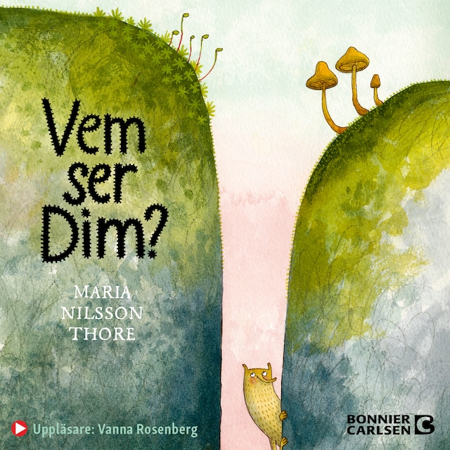 Omslag till ljudboken Vem ser Dim?