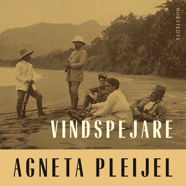 Omslag: Vindspejare : boken om Abel målaren