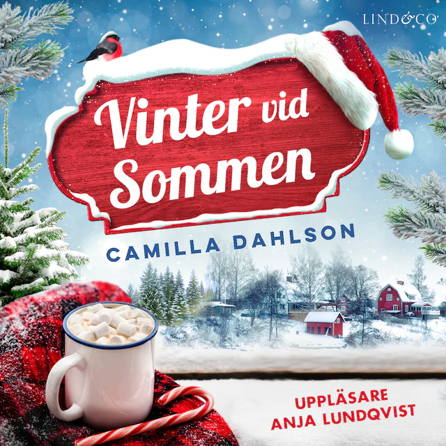 Omslag: Vinter vid Sommen