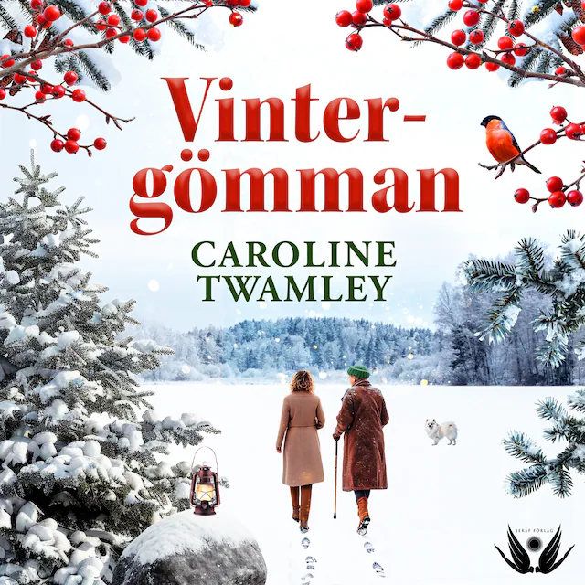 Omslag: Vintergömman