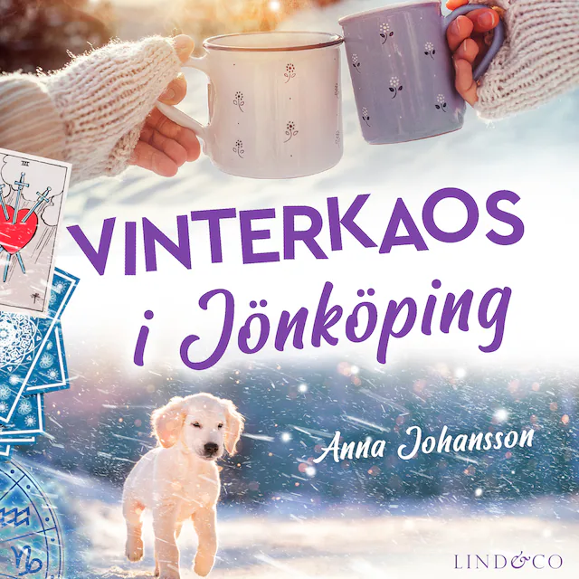 Omslag: Vinterkaos i Jönköping