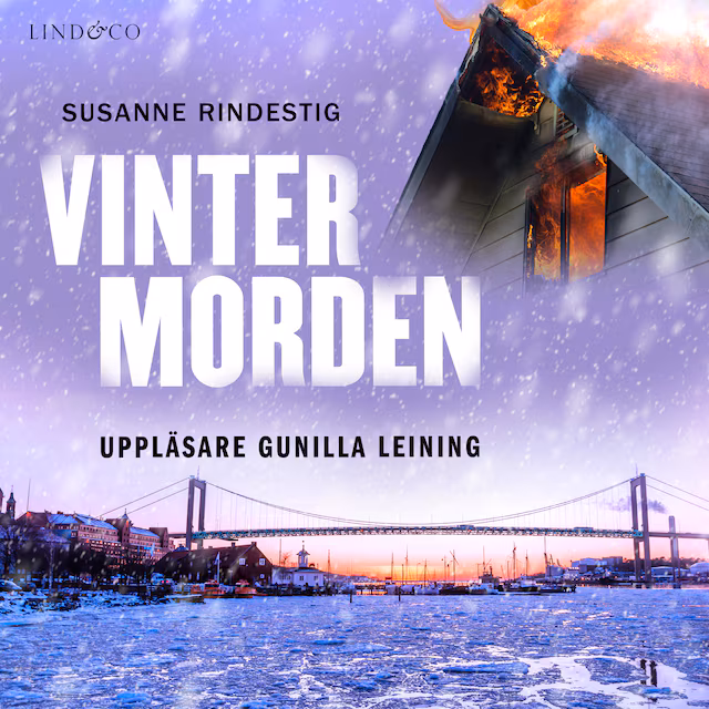 Omslag: Vintermorden