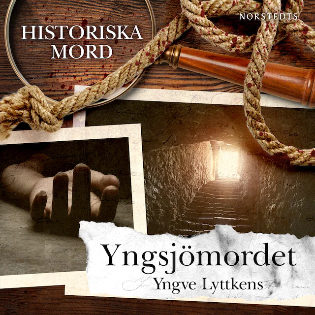 Omslag: Yngsjömordet : Historiska mord del 4